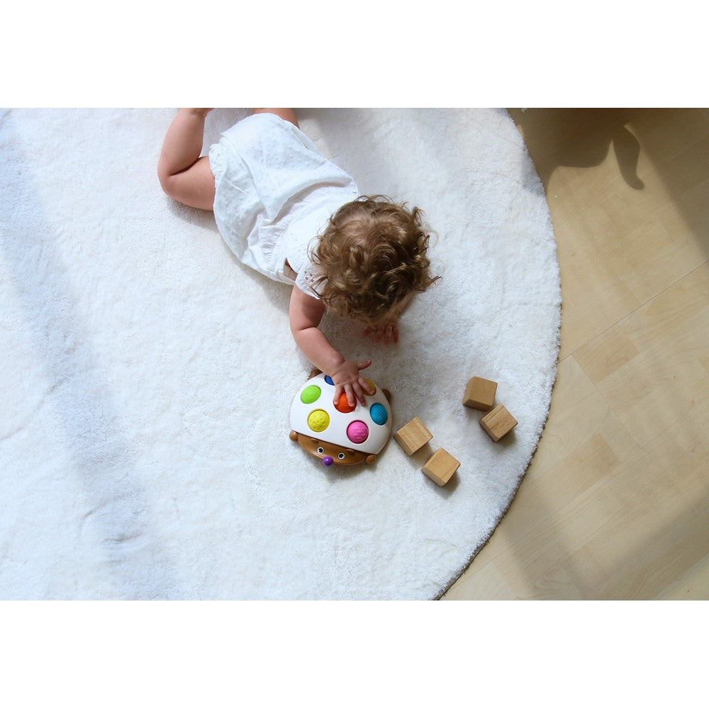 Jouet Eddy le Hérisson Éclatant