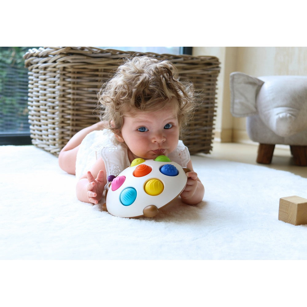 Jouet Eddy le Hérisson Éclatant