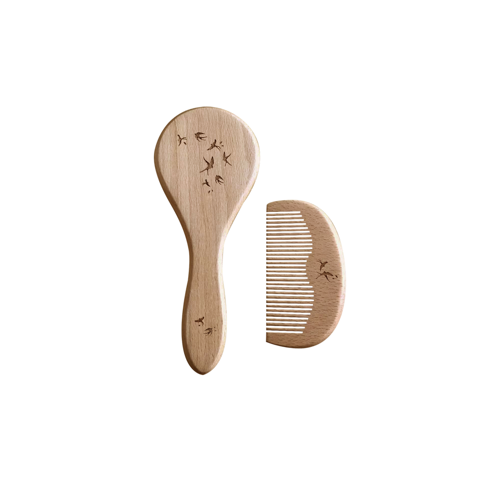 Set brosse et peigne