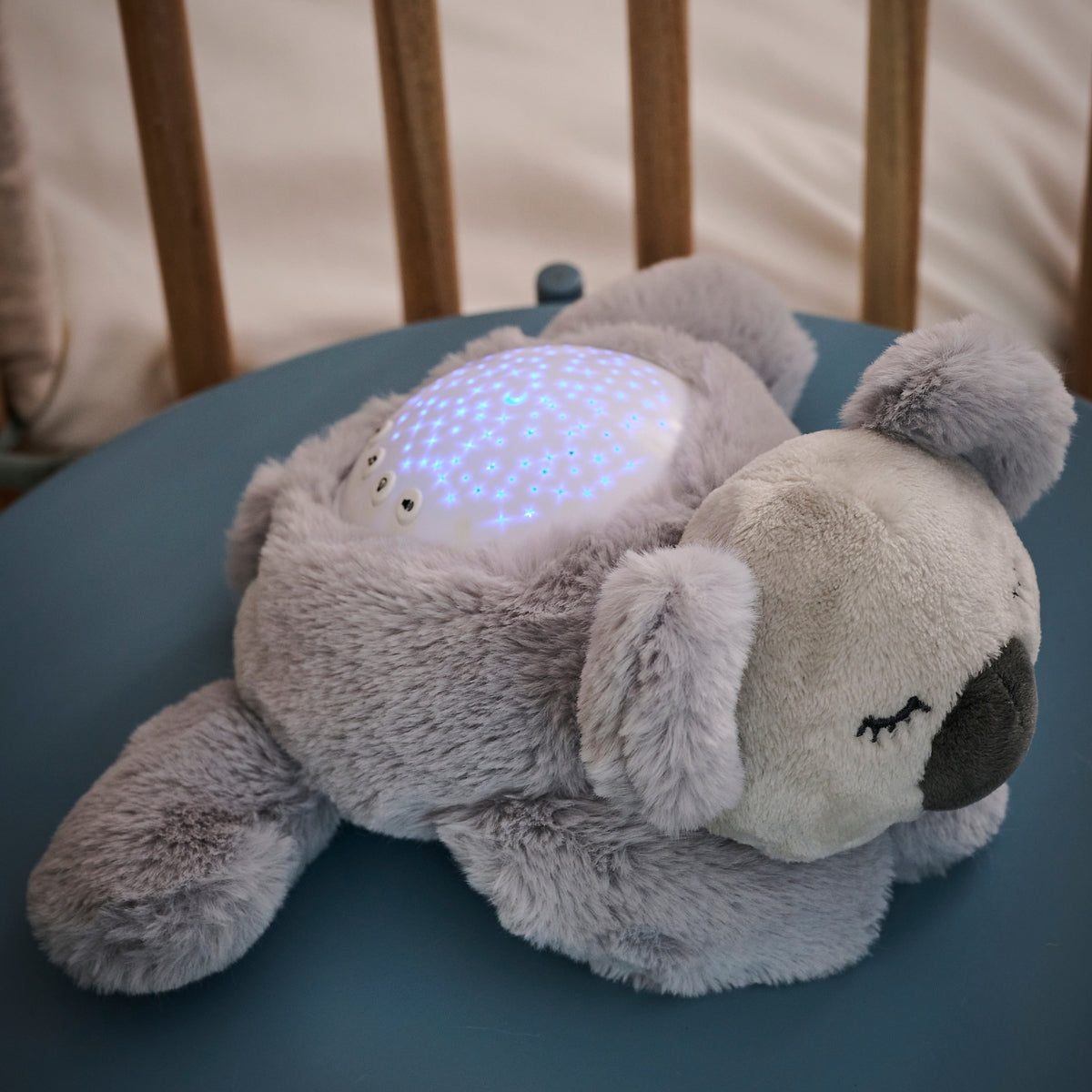 Koala Plush Night Light - NATTOU
