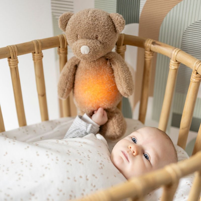Sleepy Teddy Caramel Bear Night Light Plush - NATTOU