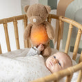 Sleepy Teddy Caramel Bear Night Light Plush - NATTOU